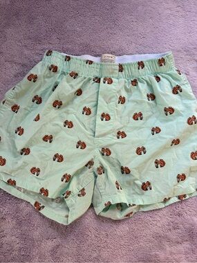 J. Crew Men’s Light Green Boxer Shorts with Squirrel eating ice cream 🍦
